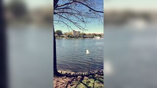 Leaked Britney Rose onlyfans porn mov pack part 2
