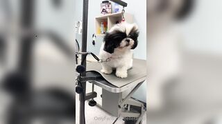 Elle Ray onlyfans nude mov part 3