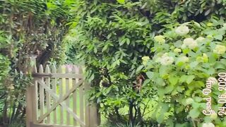 amber.killion onlyfans xxx movies pack
