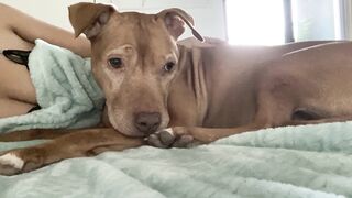 Onlyfans hot itskristinachai nude movies leaks mega pack 4
