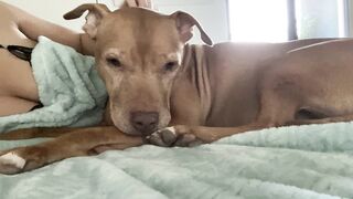 Onlyfans hot itskristinachai nude movies leaks mega pack 4
