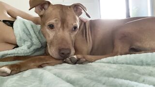 Onlyfans hot itskristinachai nude movies leaks mega pack 4
