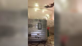 Excellent Mia Khalifa onlyfans porn videos part 3