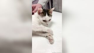 Leaked Oksi Roxi onlyfanssex movie pack part 3
