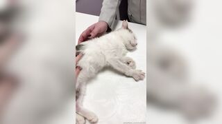 Leaked Oksi Roxi onlyfanssex movie pack part 3
