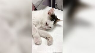 Leaked Oksi Roxi onlyfanssex movie pack part 3
