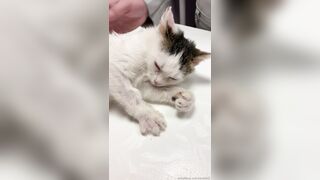 Leaked Oksi Roxi onlyfanssex movie pack part 3
