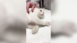 Leaked Oksi Roxi onlyfanssex movie pack part 3
