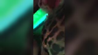 la diabla leaked onlyfans nude movies pack part 1
