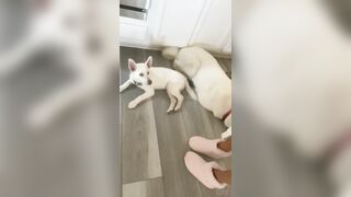 Fresh onlyfans Emma Hix porn broadcast leaks mega pack part 2
