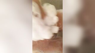 Exclusive onlyfans Carla Becerra nude mov leaks mega pack part 9