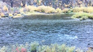 Special Lady Fyr3 onlyfans nude movs pack part 6
