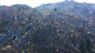 Special Lady Fyr3 onlyfans nude movs pack part 6
