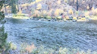 Special Lady Fyr3 onlyfans nude movs pack part 6
