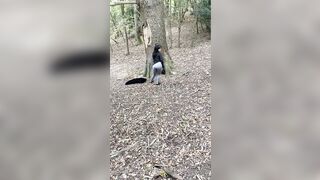 Pengali Princess fresh onlyfans sex mov mega pack
