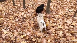 Maditown onlyfans private xxx movies leaks mega pack 4
