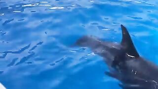 Outstanding Sexi Barbie onlyfans nude broadcast part 7
